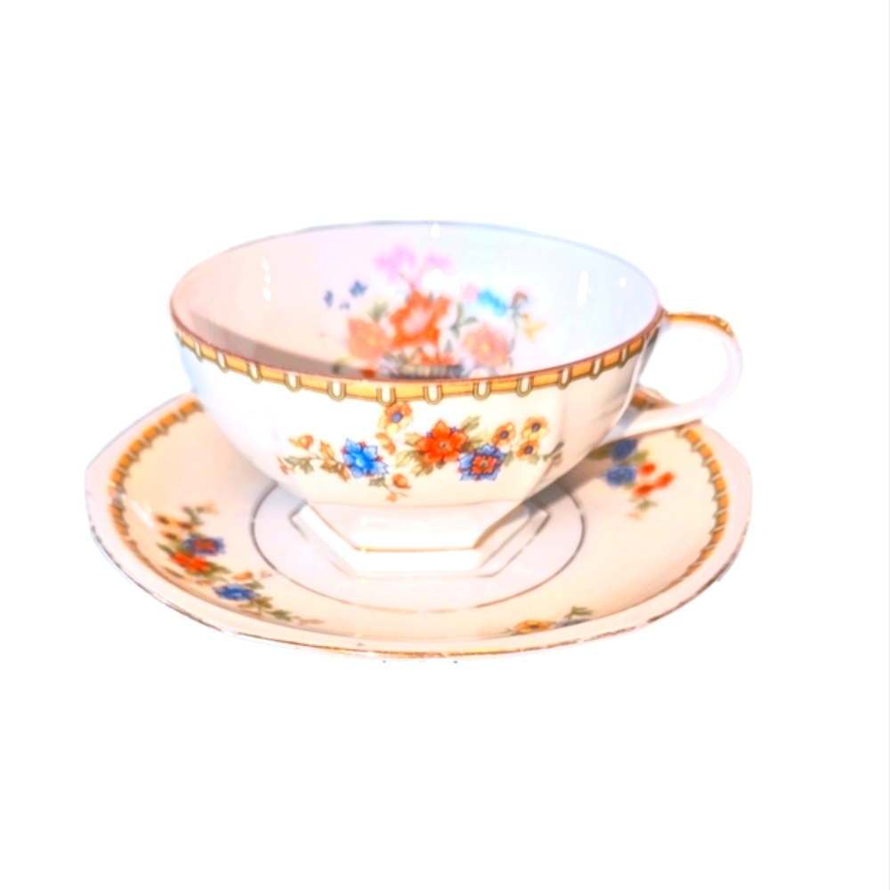 Rare Czechoslovakia Tea Cup